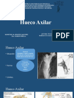 Hueco Axilar