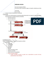 Acls - Sca