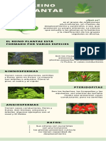 Infografía Ilustrativa Día de La Tierra Economía Circular Verde y Crema (Tamaño Original)
