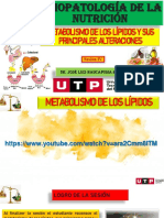 S04.s1 - Material de Clase-Metabolismo de Los Lípidos y Sus Aletraciones