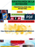 S07.s1 - Material de Clase-Fisiopatología Del Intestino