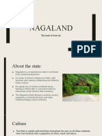 Explore the Land of Festivals and Diverse Tribes of Nagaland