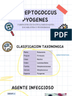 Streptococcus Pyogenes - PDF