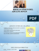 Desarrollo Físico Del Adulto Joven