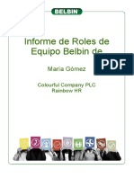 Informe Roles de Equipo Belbin IAP
