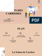 Gestion Des Carrieres