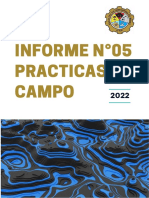 informe N5 topo