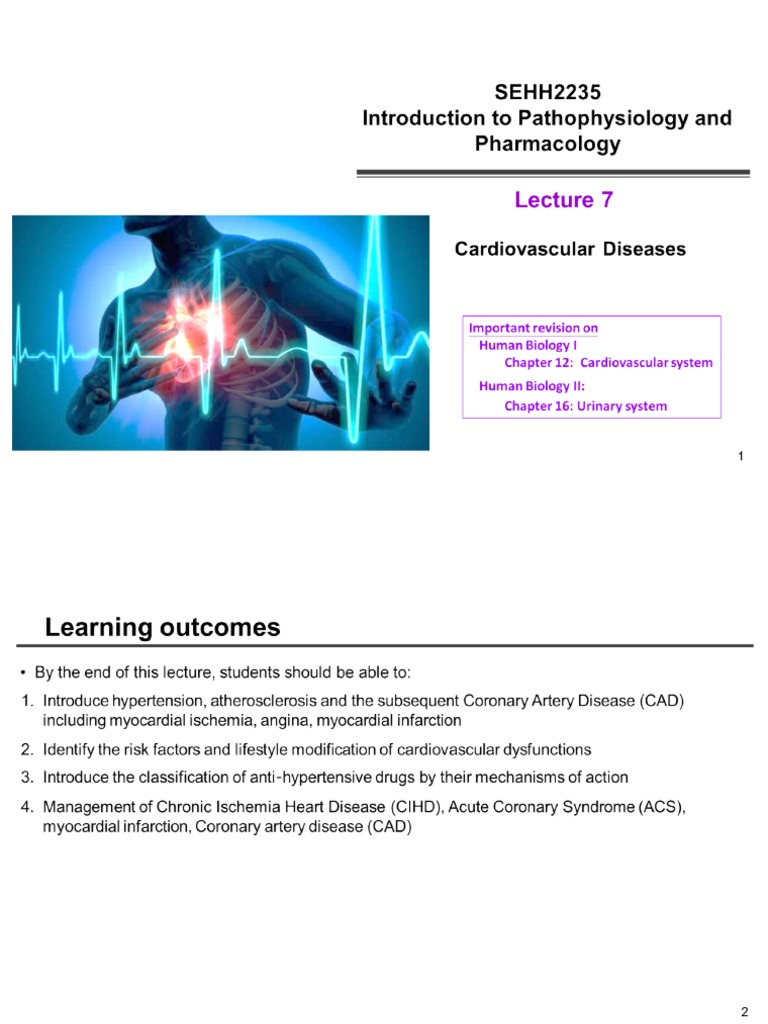 Lecture 7 Cardiovascular Diseases PDF Heart Artery