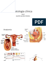 Patologia do aparelho reprodutor feminino