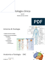 Sistema Nervoso Central