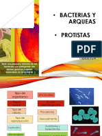 3 y 4. Bacterias y Arqueas - Protistas