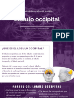 L Occipital