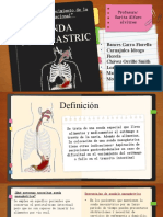 Sonda Nasogastrica GRUPO 2