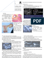 Patologias Ovarianas PDF