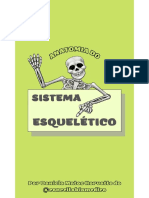 Sistema Esqueletico1