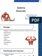 Sistema Muscular Odonto. 2022