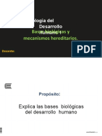 Semana 5 Desarrollo