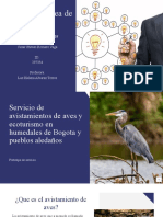 Servicio de Avistamientos de Aves y Ecoturismo en Humedales de Bogota y Pueblos Aledaños