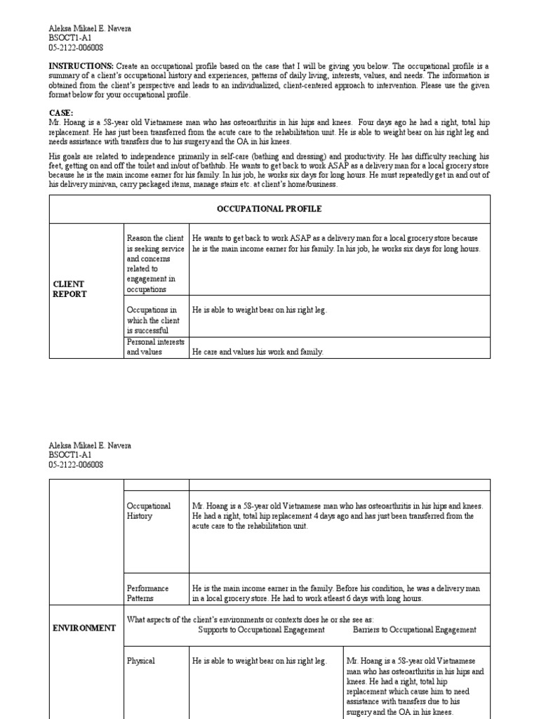 Occupational Profile for Mr. Hoang | PDF | Essays | Grammar