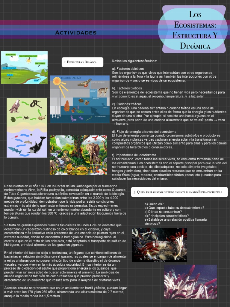 Los Ecosistemas - Estructura Y Dinámica | PDF | Ecosistema | Agua
