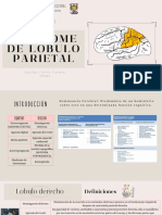 Sindrome de Lobulo Parietal