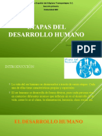 Etapas del desarrollo humano