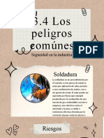 3.4 Los Peligros Comunes