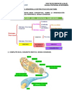 GUIA DE ANATOMÍA SESION 2 Sistema Nervioso II, Ojos, Oídos