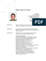 CV Miguel Leal