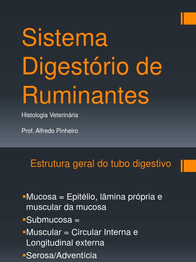 Sistema Digestório de Ruminantes | PDF | Ruminante | Epitélio