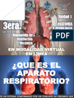 Clase #1 Anatomia y Fisologia Del Sistema Respiratorio