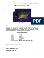 Evaluación de riesgo de invasividad de Apalone spinifera en México (40