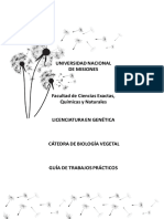 TP 1 - Morfología Externa y Anatomía de Raíces de Espermatófitas - LG - 2022