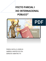 Derecho Internacional Publico