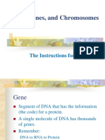 DNA Genes and Chromosomes