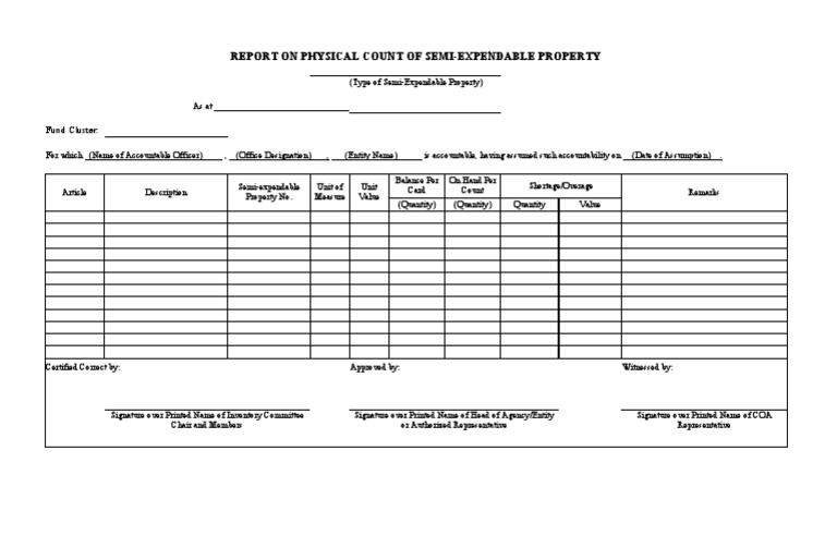 Report On The Physical Count of SemiExpendable Property PDF