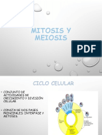 Mitosis y Meiosis