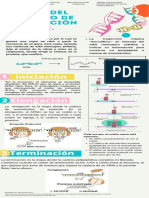 Traduccion Del Adn .