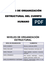 Niveles de Organizacion Estructural