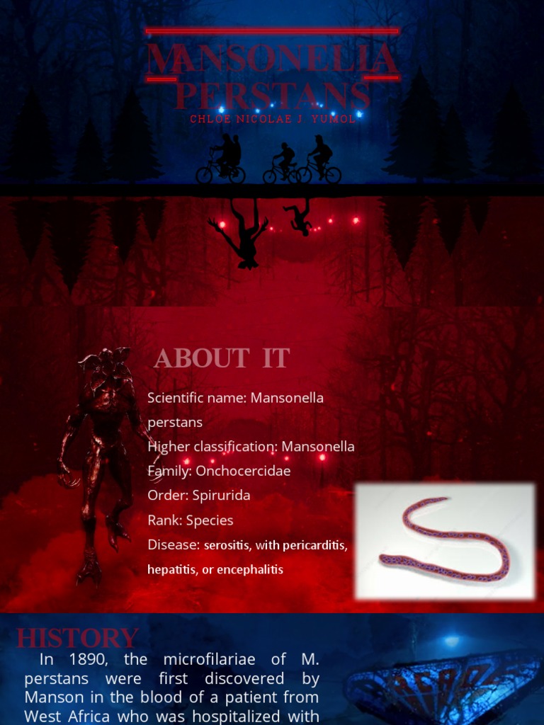Mansonella Perstans PDF