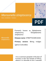 Mansonella Streptocerca