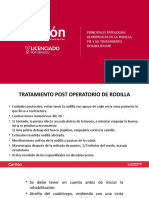 Principales Patologias Quirurgicas de La Rodilla Pie y Su 1