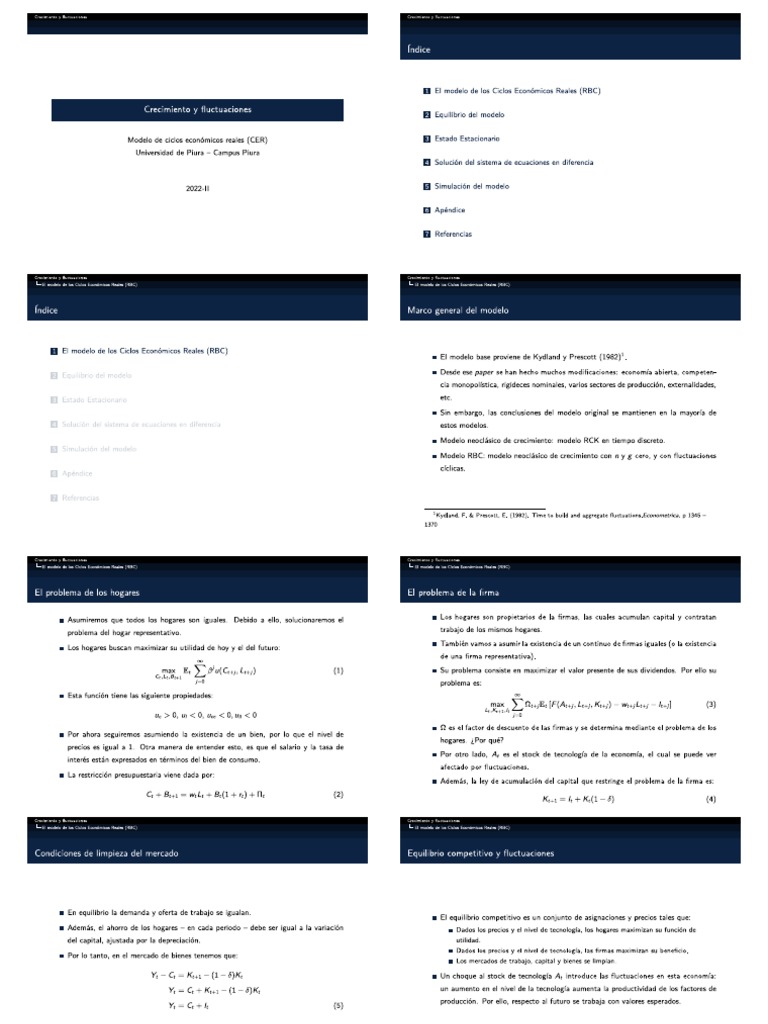 Modelo RBC | PDF