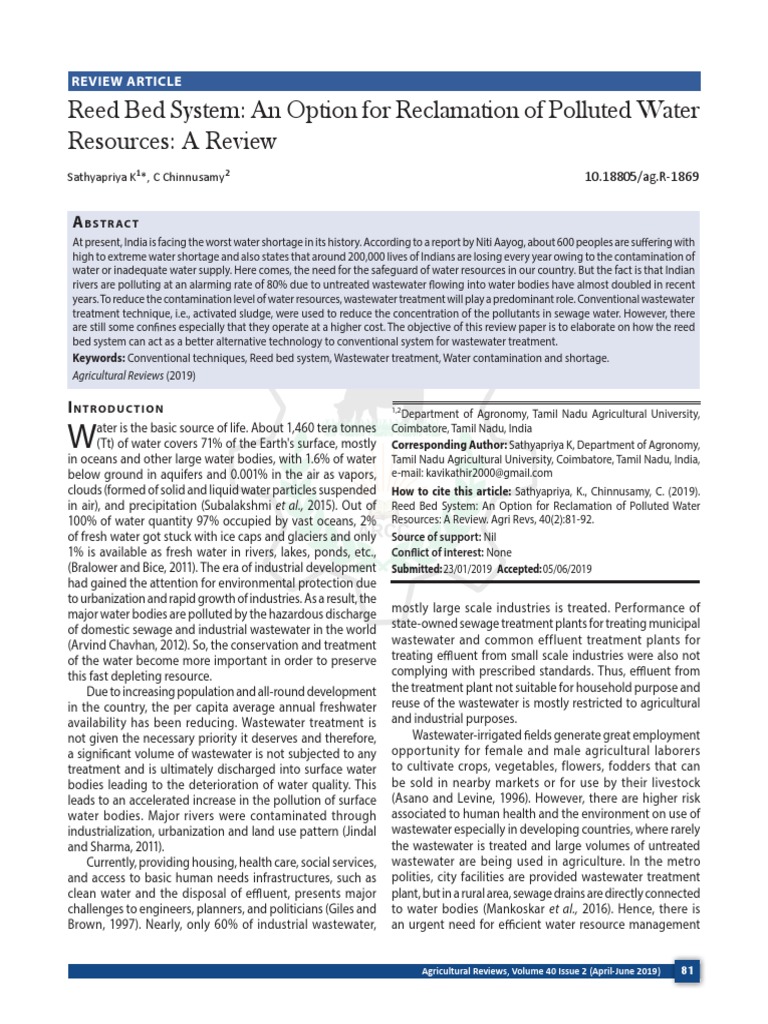 Reed Bed System An Option For Reclamation of Pollu PDF Sewage