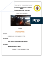 Animales Mayores Descorne PDF