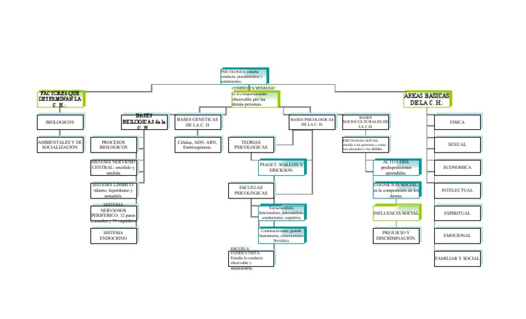 Mapa Conceptual Conducta h.