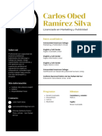 CV Carlos Ramirez Silva