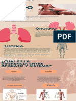 Tarea 1 - Definiciones - FAA