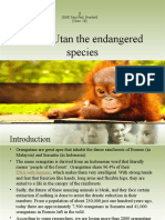 Orang Utan The Endangered Species - Radio