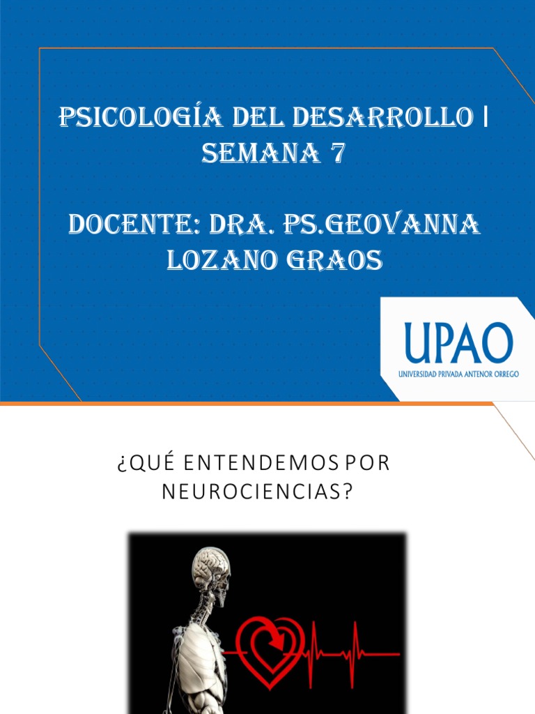 Semana 7 Psico 1 Pdf Aprendizaje Cerebro